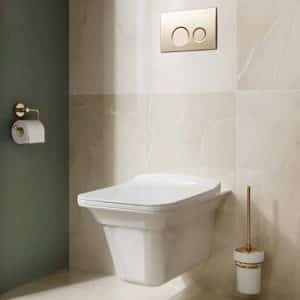 Concealed Toilet
